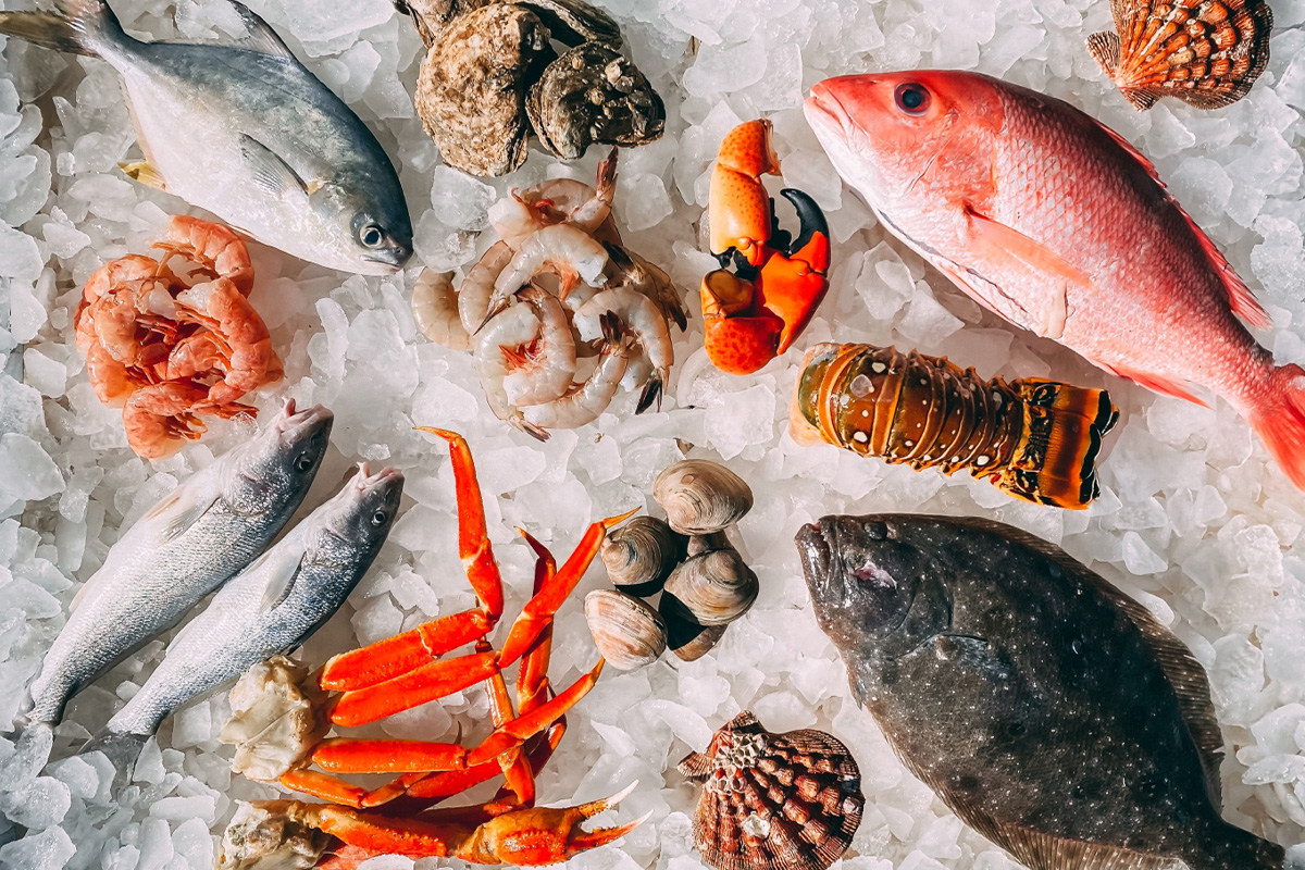 cult-food-science-partners-with-umami-meats-to-drive-down-cultivated-seafood-industry-costs-1