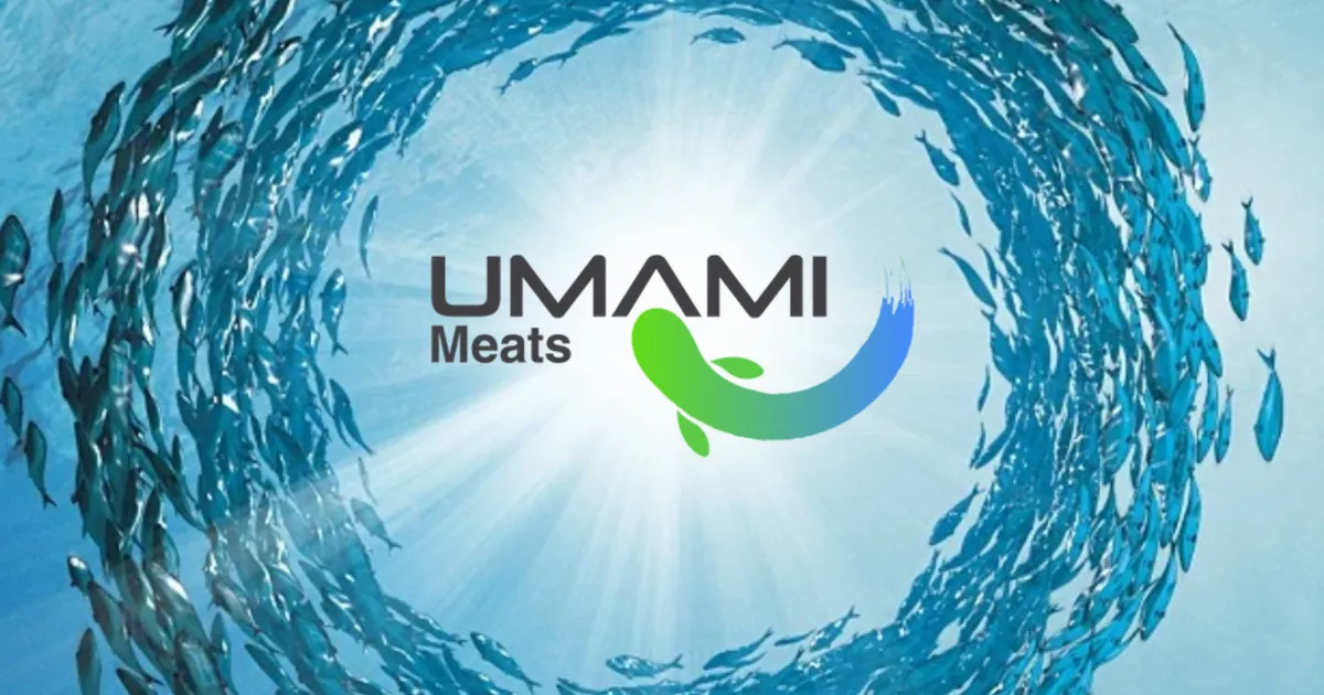 fish_articles_alternative-seafood_umami-meats-logo