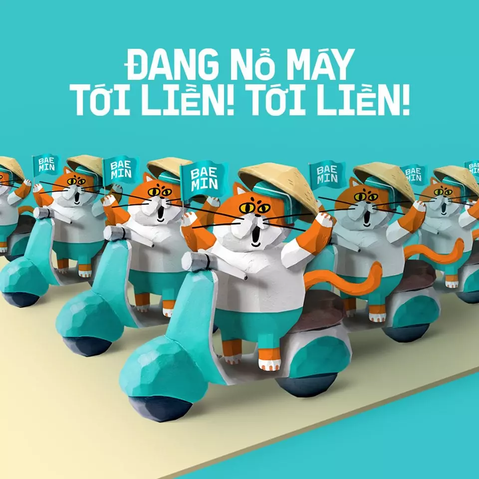 bộ nhận diện baemin