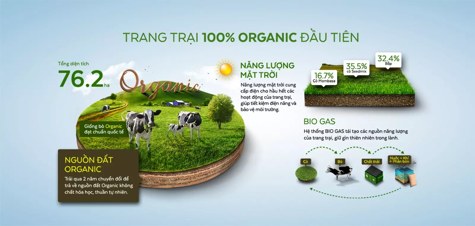 green farm
