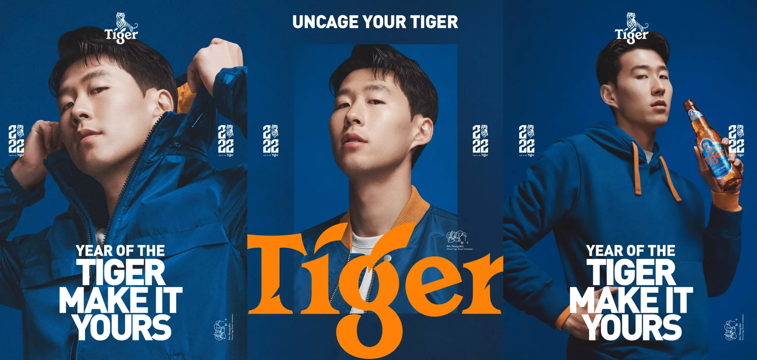 hình ảnh cho chiến lược của tiger