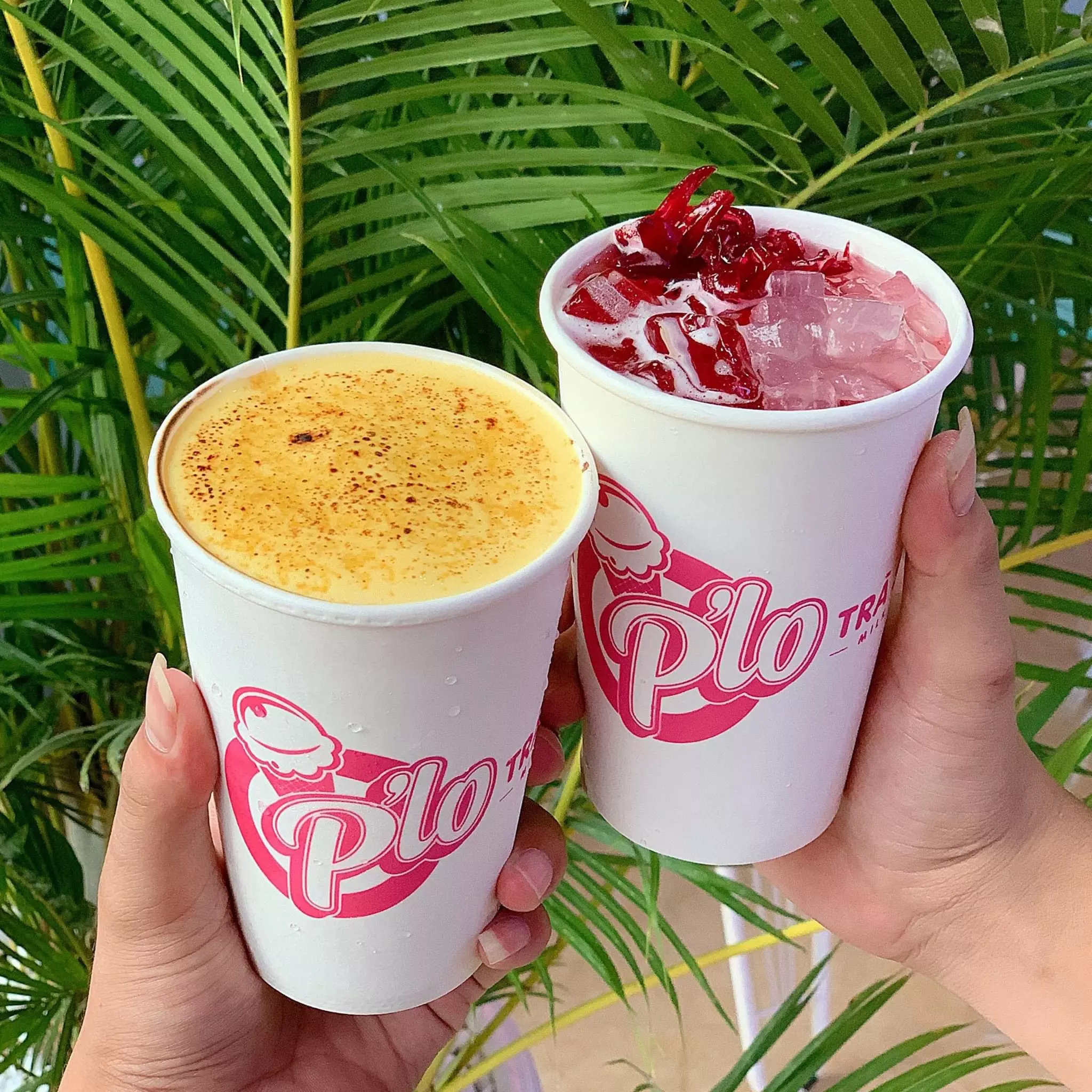 tra-sua-plo trà sữa p'lo