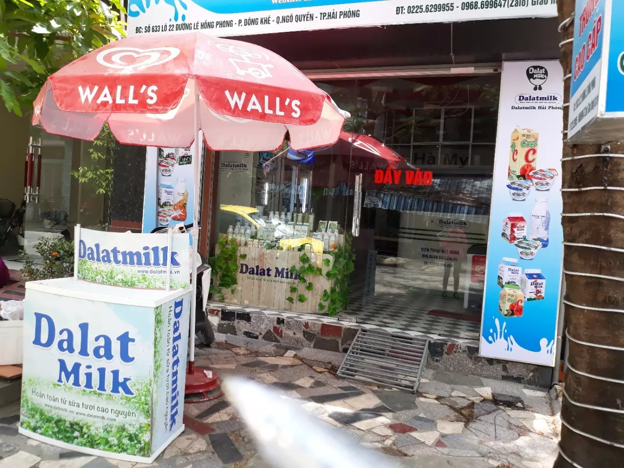 đại lý dalat milk