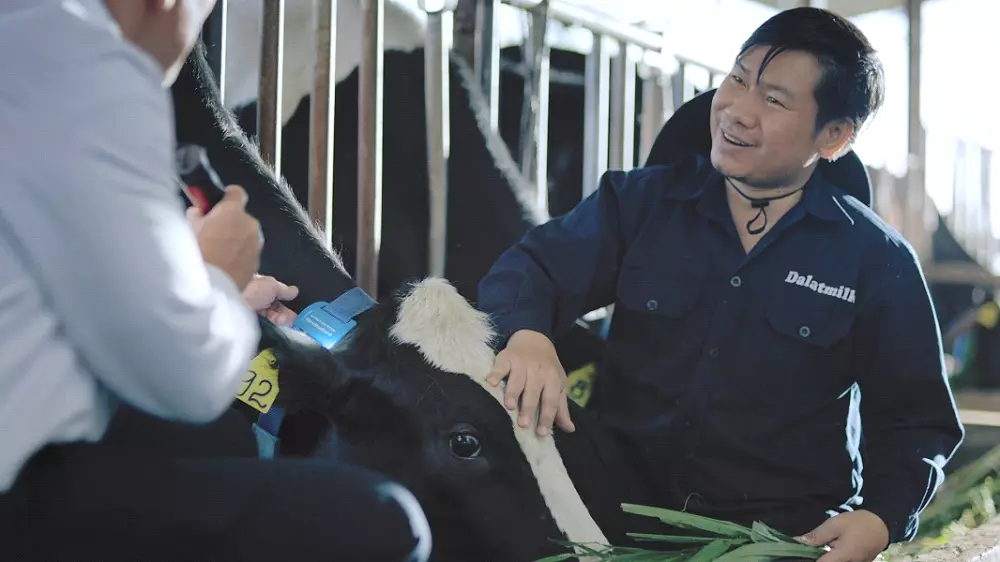 kiểm tra chất lượng bò sữa
