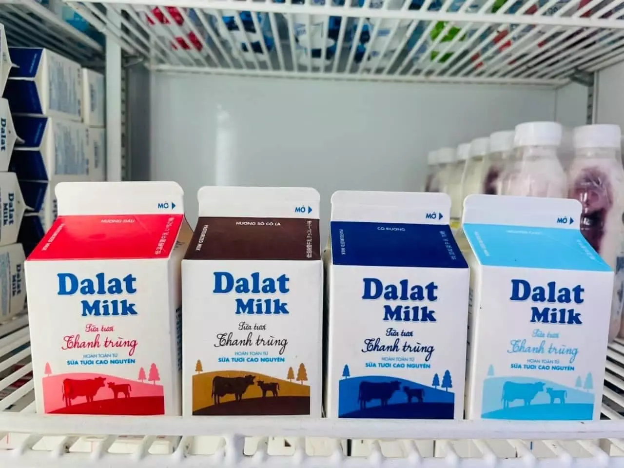 sữa dalat milk